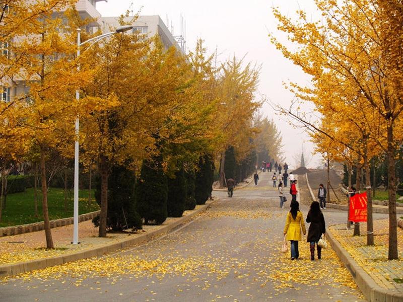 校(xiào)園風(fēng)光(guāng)