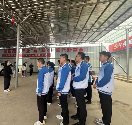 1742266917583650.jpg 1717402590009040306.jpg