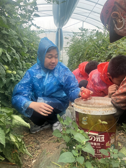 1742266922295402.jpg 1717402625397060801.jpg