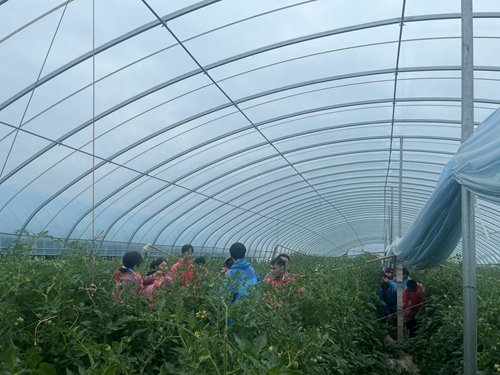 1742266942363183.jpg 1717402893203029628.jpg