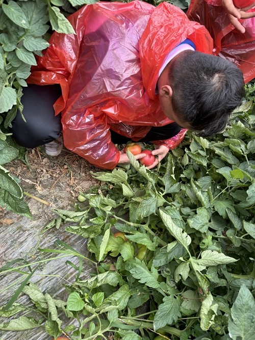 1742266944190264.jpg 1717402893355083644.jpg