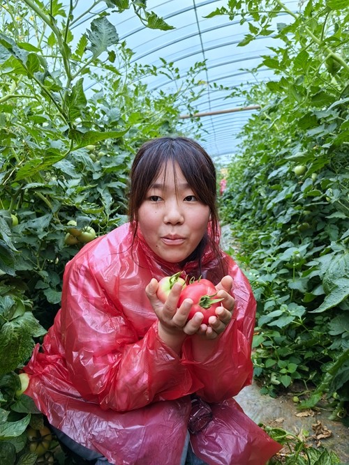 1742266951145655.jpg 1717402893408006193.jpg