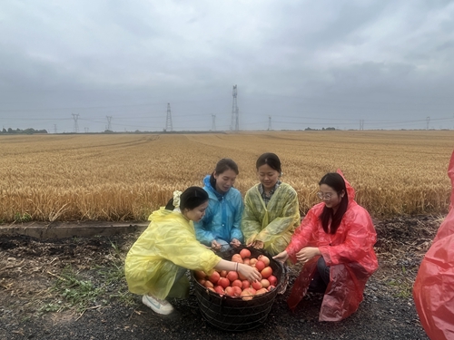 1742266959188664.jpg 1717402893570095706.jpg