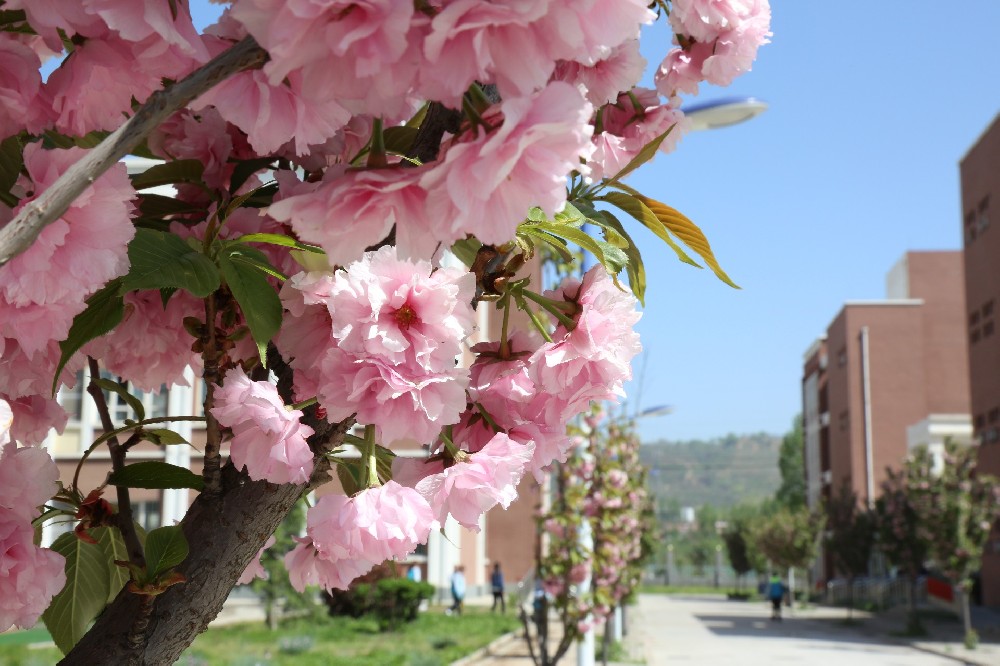 校(xiào)園風(fēng)光(guāng)